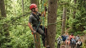 Professional arborist climbing tall forest trees using advanced harness and rope system, wearing helmet and gloves, eco-tourism group observing below, lush green environment, natural lighting, realistic style, high detail.